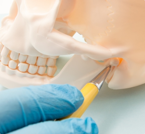 Dentist pointing to jaw joint on model of skull